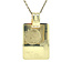 Gouden ajax hanger 14 karaat