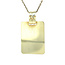 Gouden ajax hanger 14 karaat
