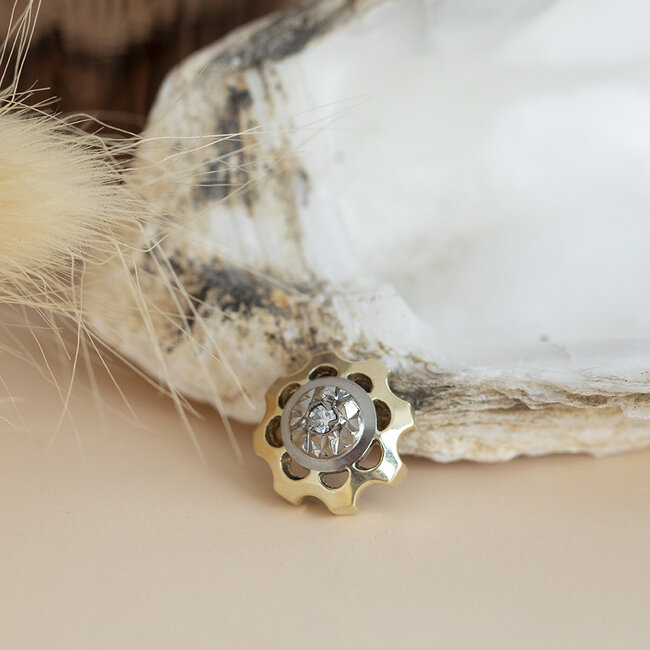 Bicolour gouden hanger met diamant 14 karaat