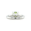 Witgouden ring van Bron Jewelry 14 karaat