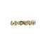 Gouden hart ring met diamant 14 karaat