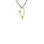 Gouden hanger ring met diamant 14 karaat