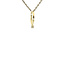 Gouden hanger ring met diamant 14 karaat