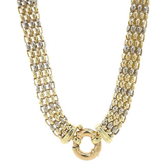 Golden choker bicolour