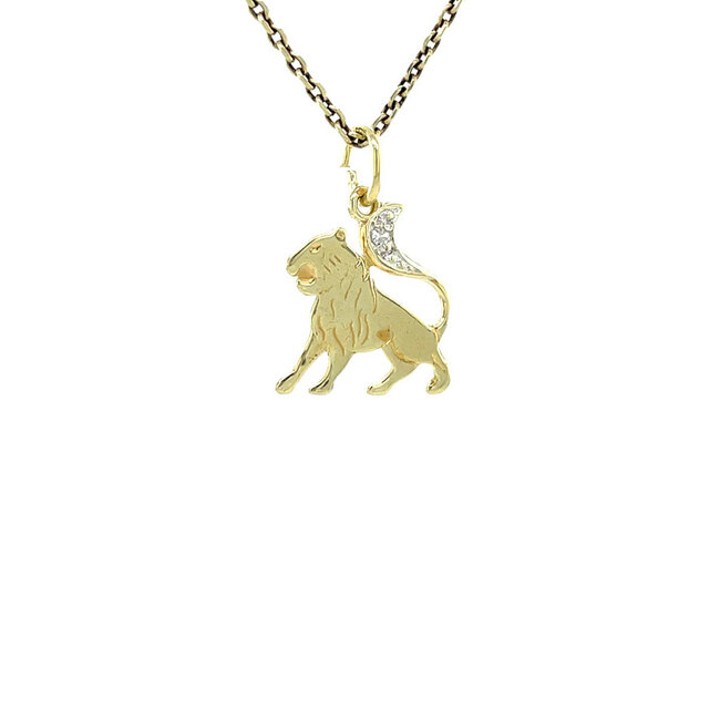 Gouden hanger sterrenbeeld Leeuw 14 karaat