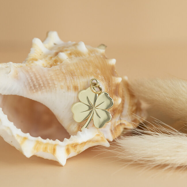 Gouden hanger klavertje 4 14 karaat