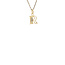 Gouden hanger letter R Jeunesse 14 karaat