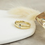 Gouden ring met diamant 14 karaat