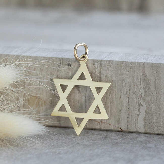 Gouden davidster hanger 14 karaat