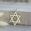Gold David star pendant 14 karat