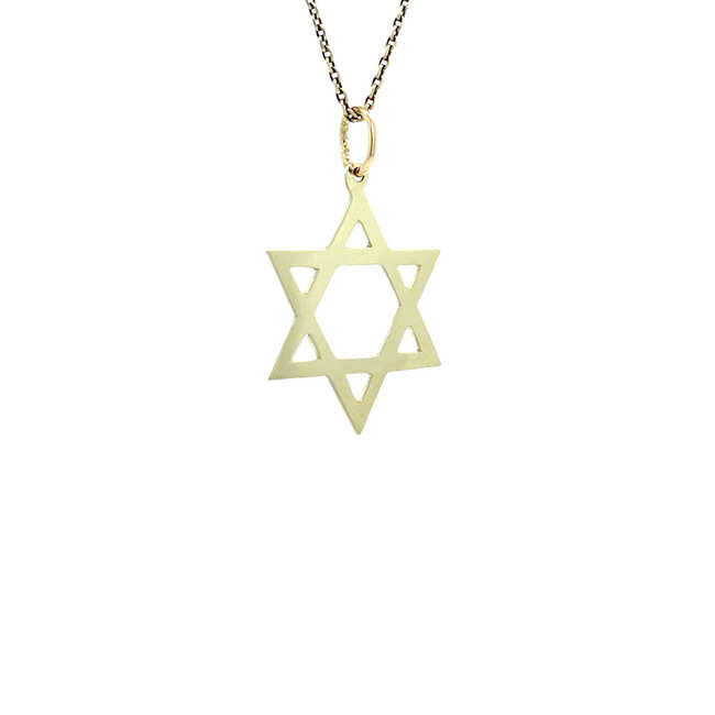 Gouden davidster hanger 14 karaat