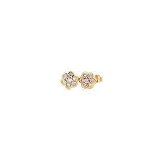 Gold zirconia ear studs