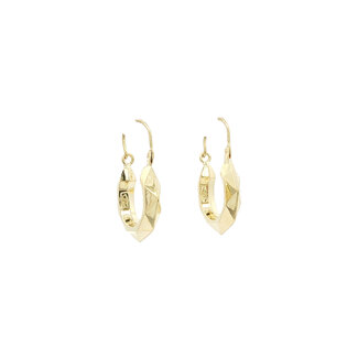 Golden fisherman's earrings