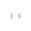 Gold hinged hoop earrings with zirconia 14 karat