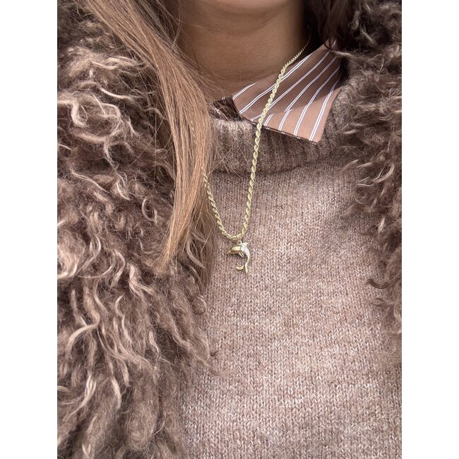Gouden hanger dolfijn 14 karaat