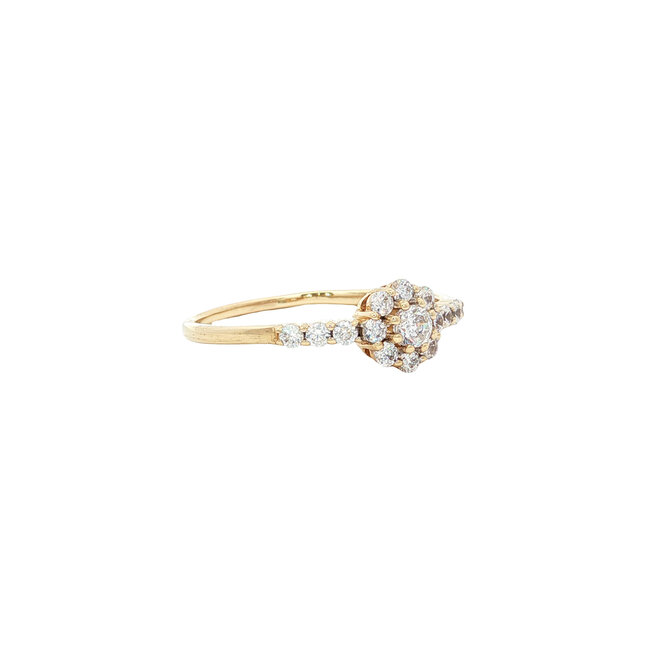 Gold entourage ring with zirconia 14 karat