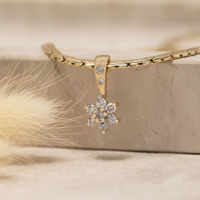 Gouden entourage hanger met diamant 14 karaat