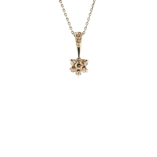 Gouden entourage hanger met diamant 14 karaat