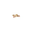 Tricolour gold ear studs 14 karat