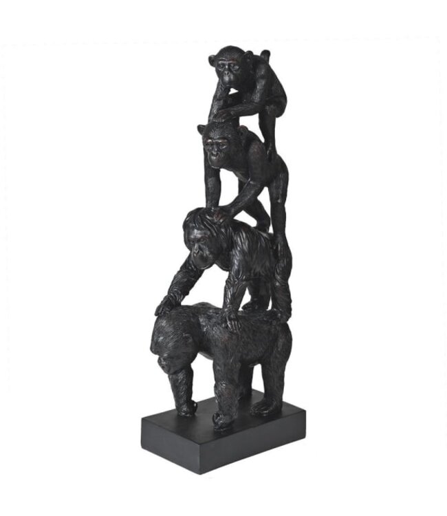 Evolution of Primates Statue