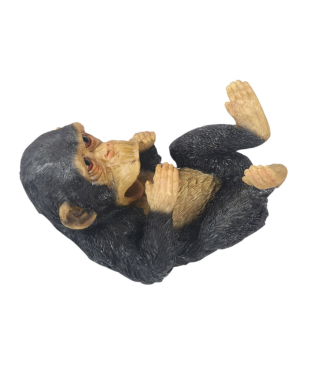 Chimp Bottle Holder