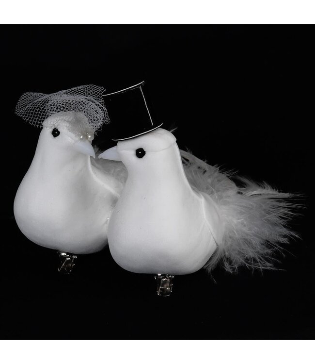 Mr & Mrs Clip Bird Couple