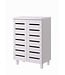 Timber Art Design White 2 Door Shoe Cabinet