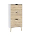 Furniture to Go Scandinavian Style Shoe Cabinet