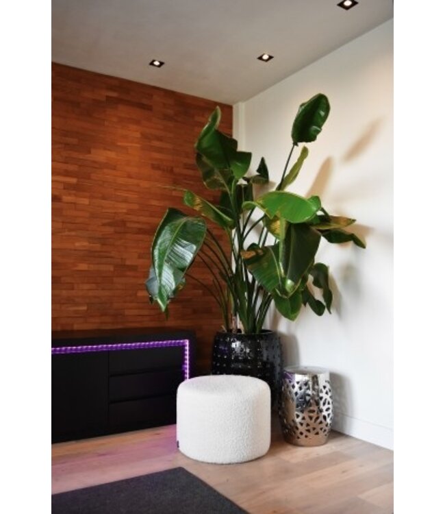 Calex Smart LED RGBCCT Strip light 24W 5M Including Driver