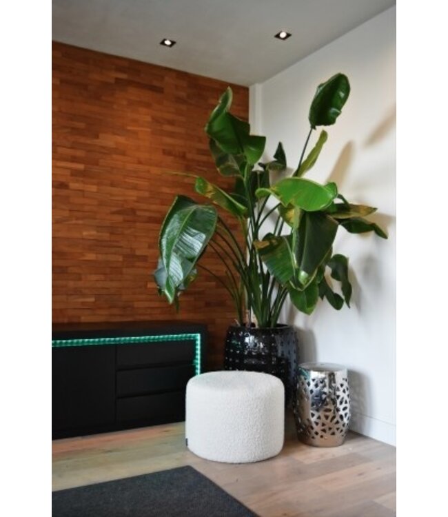 Calex Smart LED RGBCCT Strip light 24W 5M Including Driver