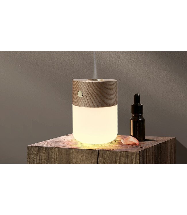 Gingko Smart Diffuser Lamp