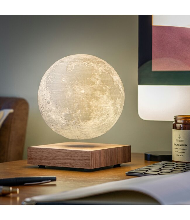 Gingko Smart Moon Lamp