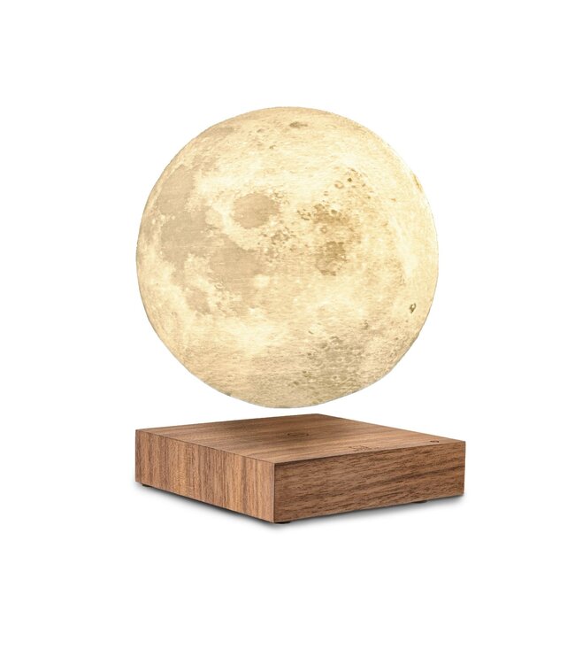Gingko Smart Moon Lamp