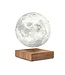 Gingko Smart Moon Lamp