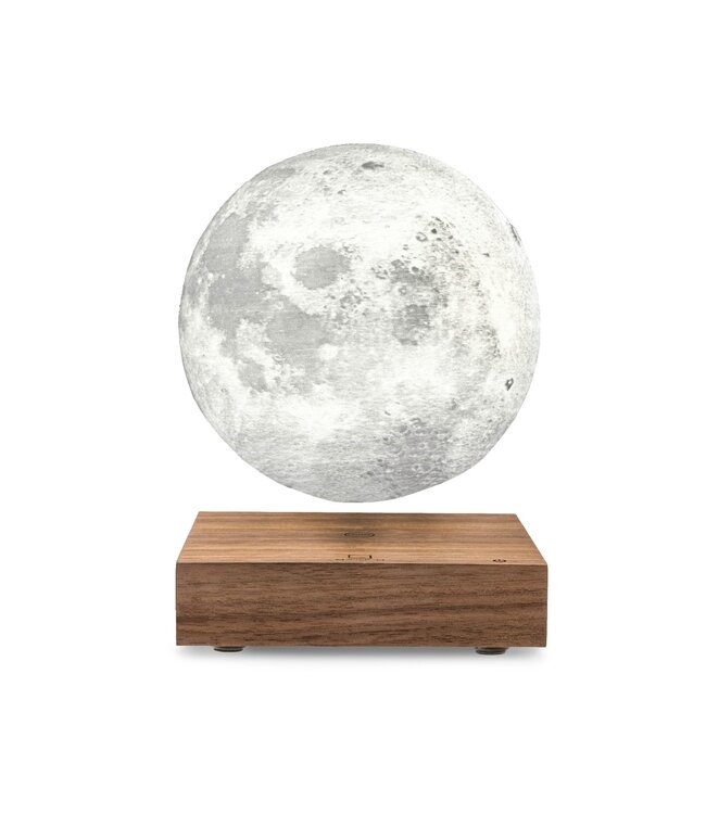 Gingko Smart Moon Lamp