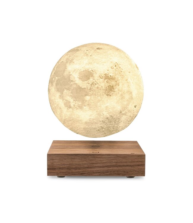 Gingko Smart Moon Lamp