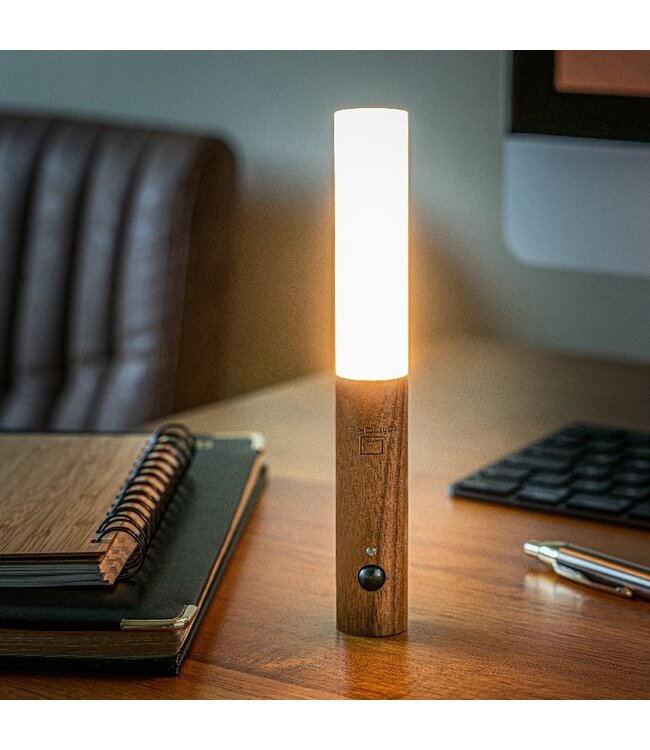 Gingko Smart Baton Light