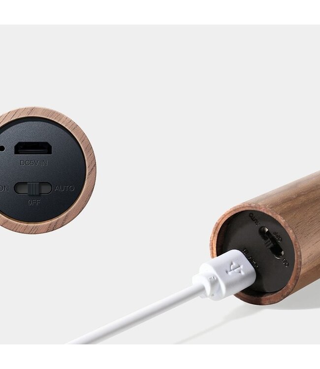 Gingko Smart Baton Light