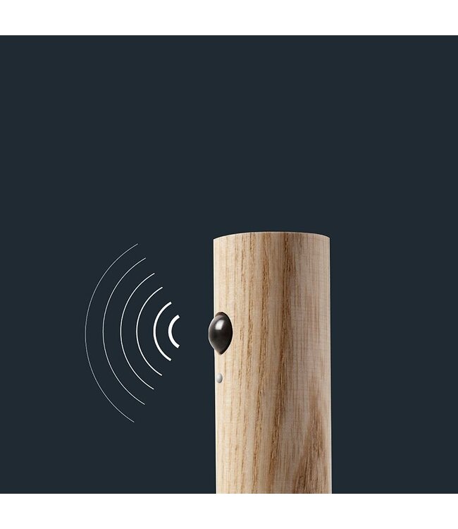 Gingko Smart Baton Light