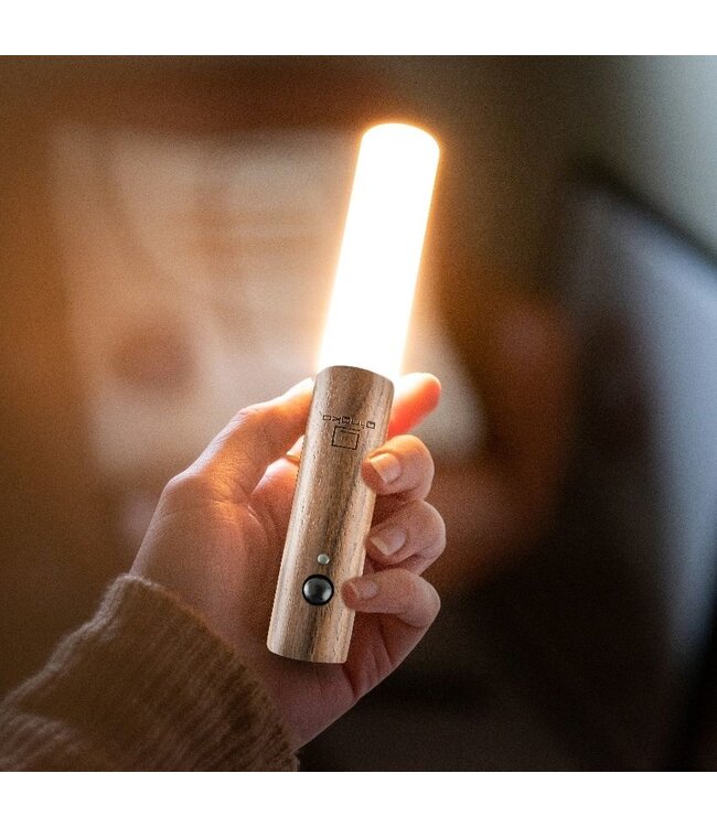 Gingko Smart Baton Light
