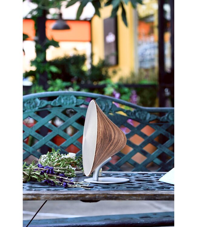 Gingko Large Halo One NFC/Bluetooth Speaker