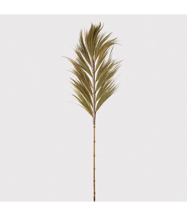 Dried Grass Decoration -  250 cm H