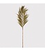 Dried Grass Decoration -  250 cm H