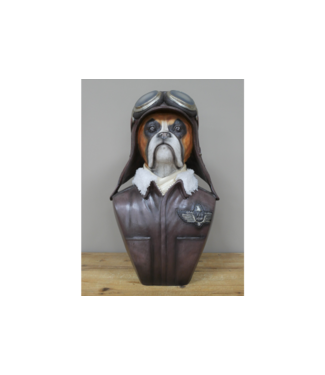 Dog Pilot Bust