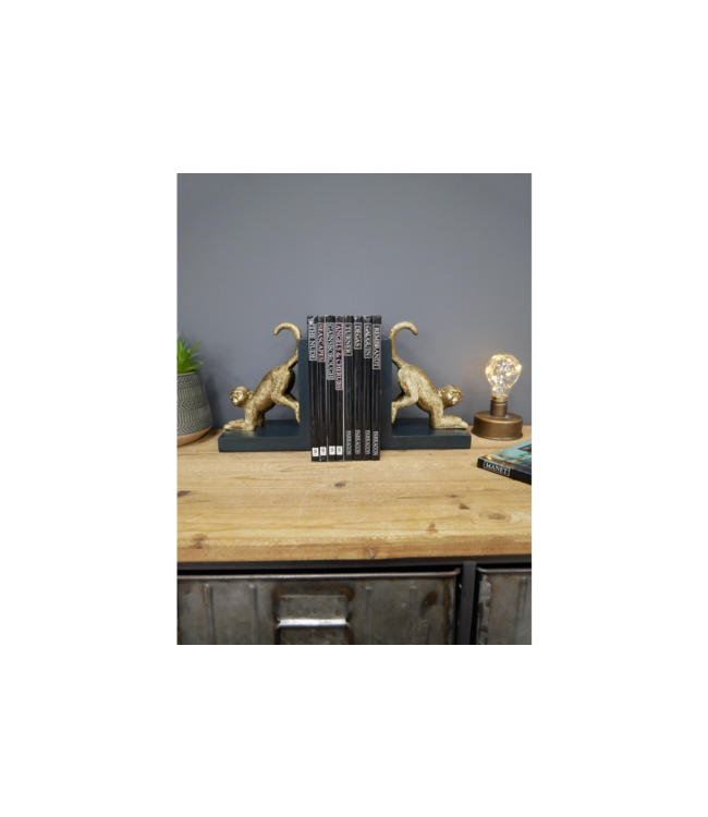 Quirky Monkey Bookends