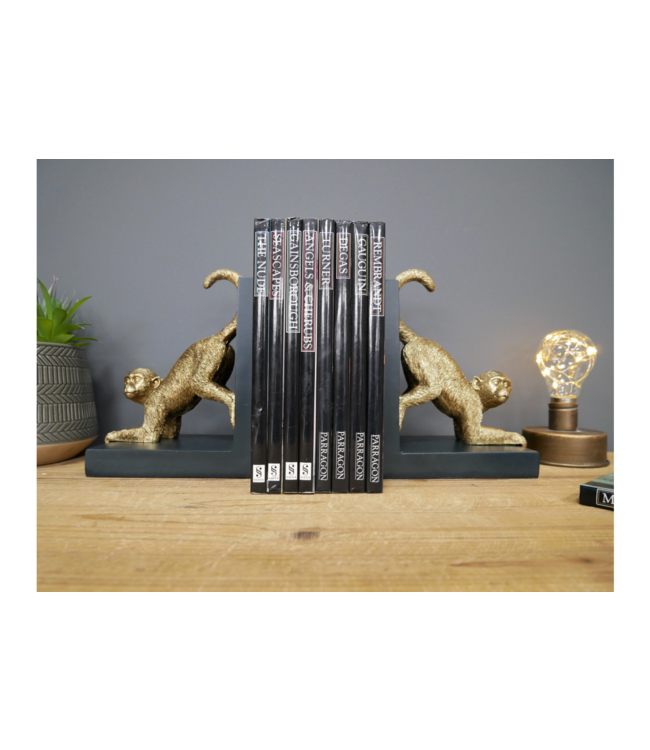Quirky Monkey Bookends