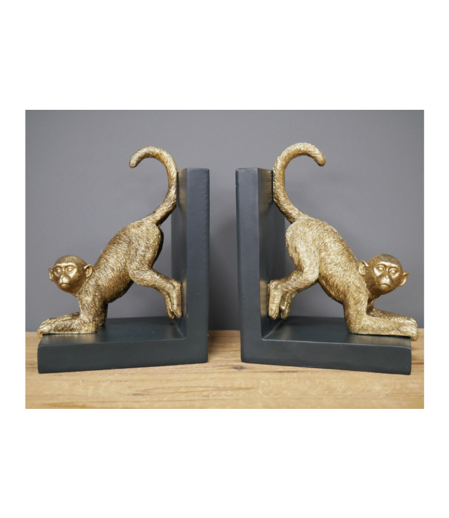 Quirky Monkey Bookends