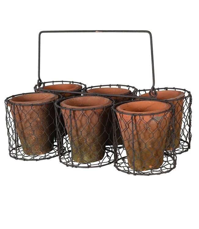 Set of 6 Small Pots in Basket