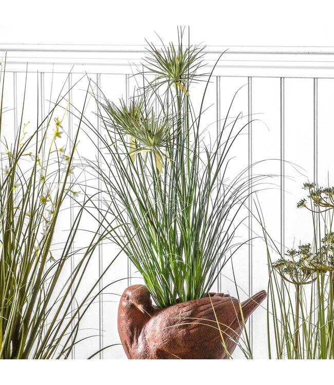 Potted Grass With 3 Flowers