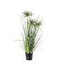 Potted Grass With 3 Flowers